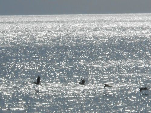 Fotografia de ricardo - Galeria Fotografica: Naturaleza - Foto: 