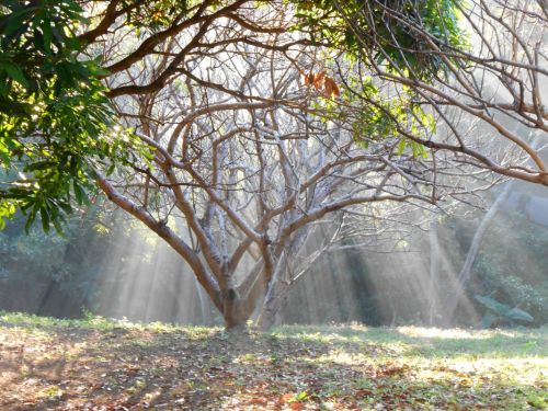 Fotografia de ricardo - Galeria Fotografica: Naturaleza - Foto: 