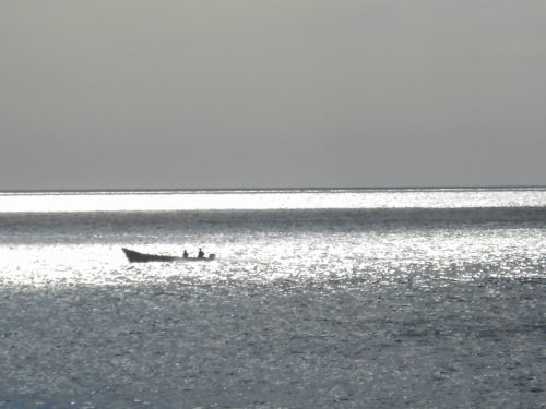 Fotografia de ricardo - Galeria Fotografica: Naturaleza - Foto: 