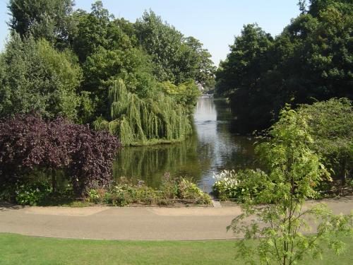 Fotografia de francusio - Galeria Fotografica: Fotos diversas - Foto: Jardines