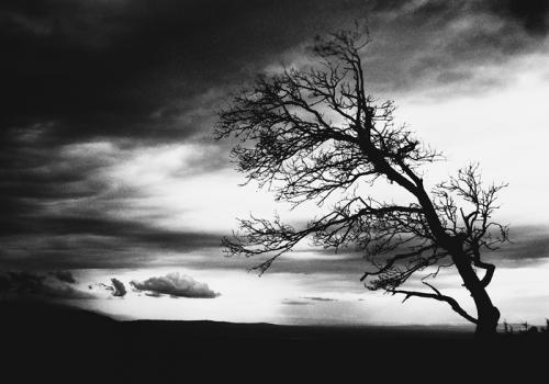 Fotografia de Morenita - Galeria Fotografica: ... - Foto: The Sound of Silence.. ...