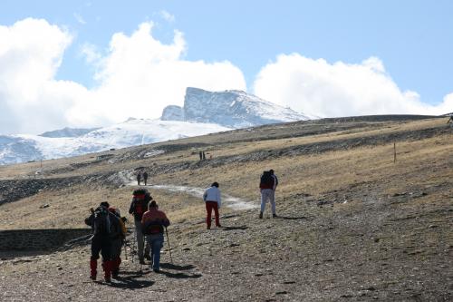 Fotografia de Ernesto - Galeria Fotografica: Monte y natura - Foto: sube ke te sube 2
