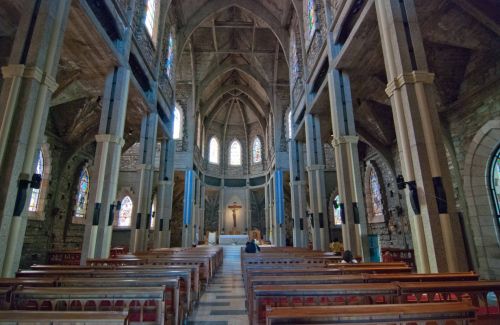 Fotografia de Julian Donatelli - Galeria Fotografica: Aves y Flores - Foto: 