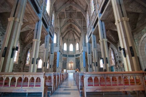 Fotografia de Julian Donatelli - Galeria Fotografica: Aves y Flores - Foto: 