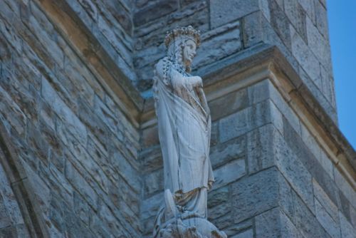 Fotografia de Julian Donatelli - Galeria Fotografica: Aves y Flores - Foto: 