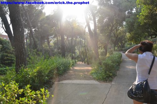 Fotografia de Erick Cueto - Galeria Fotografica: Parc Laberinto de Horta BCN - Foto: 