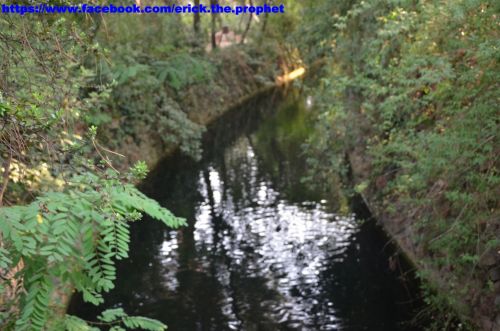 Fotografia de Erick Cueto - Galeria Fotografica: Parc Laberinto de Horta BCN - Foto: 