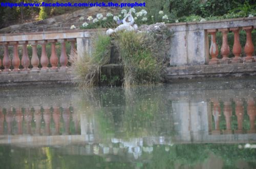 Fotografia de Erick Cueto - Galeria Fotografica: Parc Laberinto de Horta BCN - Foto: 