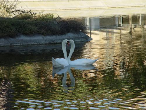 Fotografia de Pedro E. Marn Torres - Galeria Fotografica: Pedro Marn: momentos - Foto: Juntos