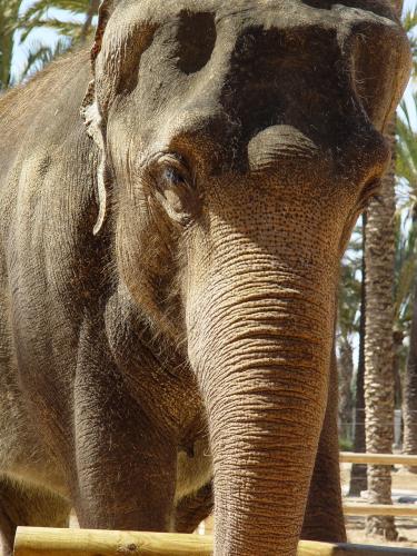 Fotografia de Pedro E. Marn Torres - Galeria Fotografica: Pedro Marn: momentos - Foto: Asombro