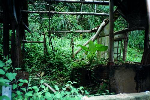 Fotografia de k! - Galeria Fotografica: intimidad natural - Foto: 