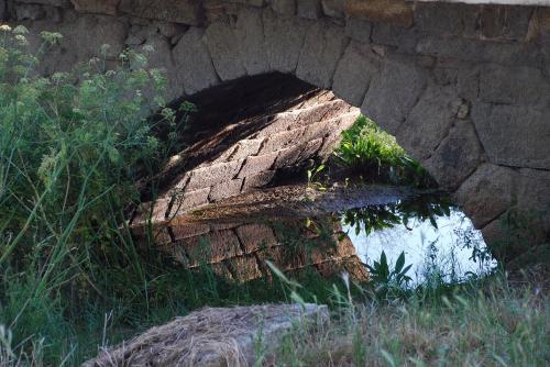 Fotografia de Correcaminos - Galeria Fotografica: Sombras - Foto: Ojo