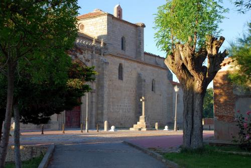 Fotografia de Correcaminos - Galeria Fotografica: Sombras - Foto: Atardecer
