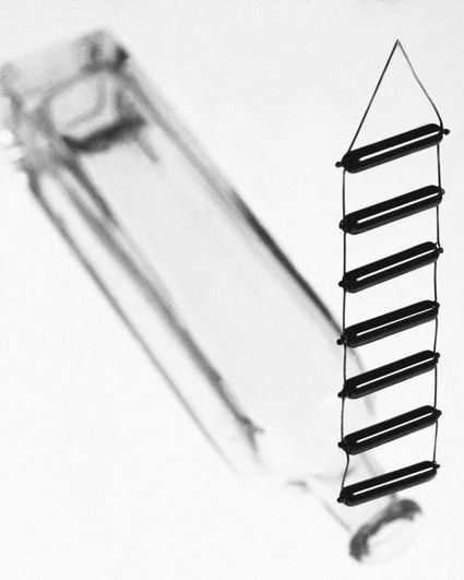 Fotografia de andreroldn - Galeria Fotografica: producto - Foto: 