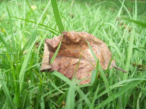 Fotografia de Carolina Ladino - Galeria Fotografica: CENTR�FUGA DEL AMOR - Foto: 