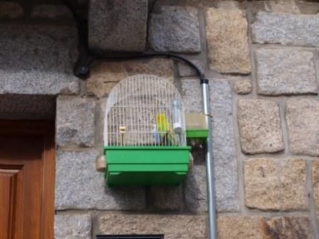 Fotografia de J.Sanz - Galeria Fotografica: Los Molinos - Foto: 