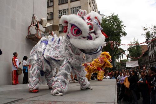 Fotografia de Guillermo Castillo Ramrez - Galeria Fotografica: Diversidad cultural, el ao nuevo chino en la ciudad de Mxico - Foto: Dragn