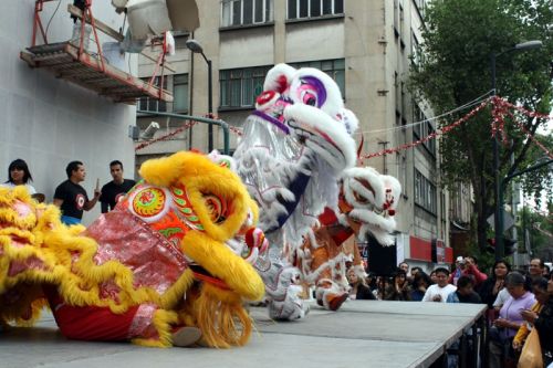 Fotografia de Guillermo Castillo Ramrez - Galeria Fotografica: Diversidad cultural, el ao nuevo chino en la ciudad de Mxico - Foto: Baile de dragones