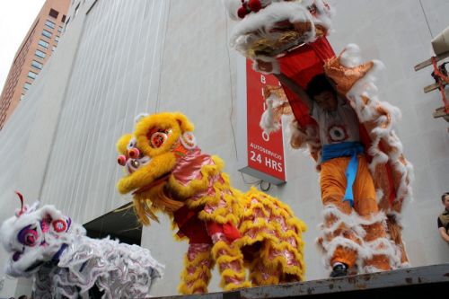 Fotografia de Guillermo Castillo Ramrez - Galeria Fotografica: Diversidad cultural, el ao nuevo chino en la ciudad de Mxico - Foto: Alineacin de dragones
