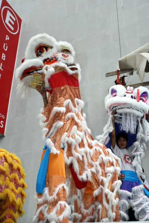 Fotografia de Guillermo Castillo Ramrez - Galeria Fotografica: Diversidad cultural, el ao nuevo chino en la ciudad de Mxico - Foto: Miradas encontradas