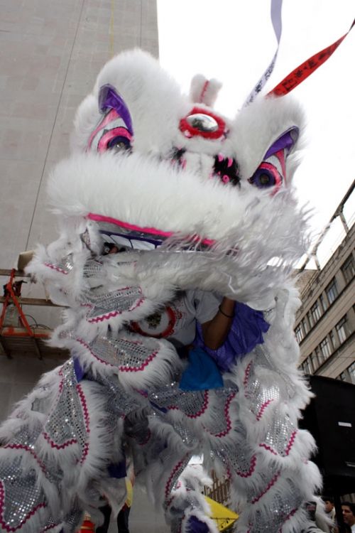 Fotografia de Guillermo Castillo Ram�rez - Galeria Fotografica: Diversidad cultural, el a�o nuevo chino en la ciudad de M�xico - Foto: El rostro de la diferencia cultural