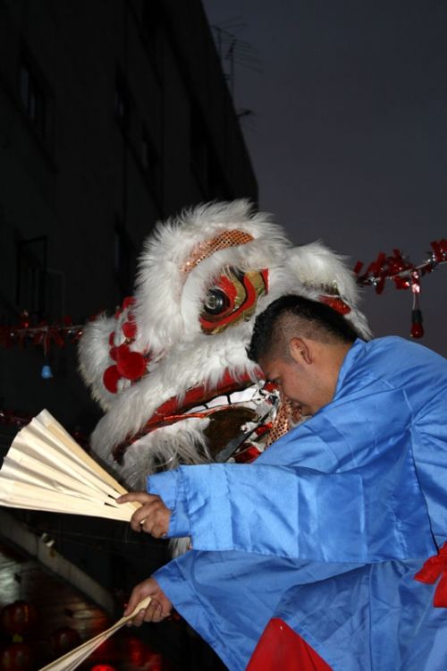 Fotografia de Guillermo Castillo Ramrez - Galeria Fotografica: Diversidad cultural, el ao nuevo chino en la ciudad de Mxico - Foto: Dragn descendiento