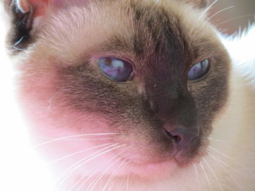 Fotografia de Piedrita - Galeria Fotografica: Miradas - Foto: 