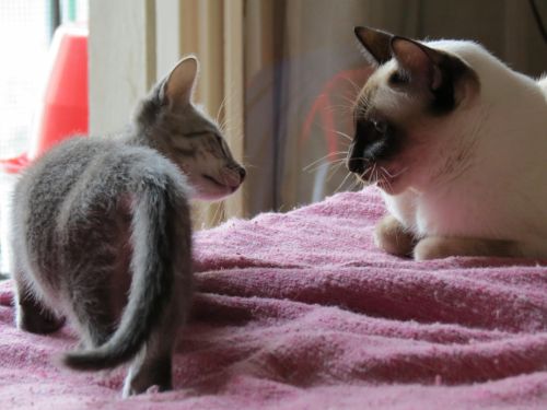 Fotografia de Piedrita - Galeria Fotografica: Miradas - Foto: 