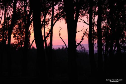 Fotografia de Santiago Moreira Musitelli - Galeria Fotografica: Mi Uruguay - Foto: 