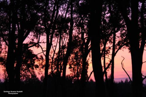 Fotografia de Santiago Moreira Musitelli - Galeria Fotografica: Mi Uruguay - Foto: 