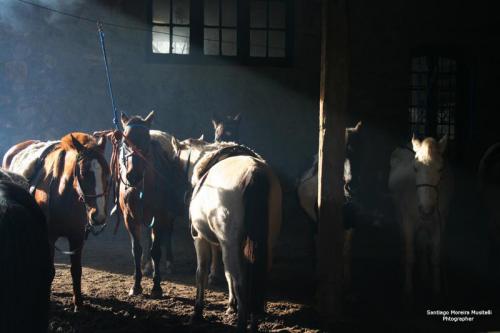 Fotografia de Santiago Moreira Musitelli - Galeria Fotografica: Mi Uruguay - Foto: 