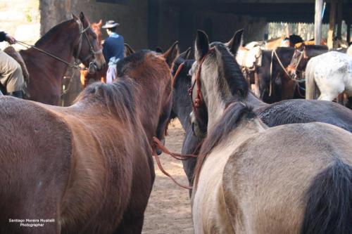 Fotografia de Santiago Moreira Musitelli - Galeria Fotografica: Mi Uruguay - Foto: 