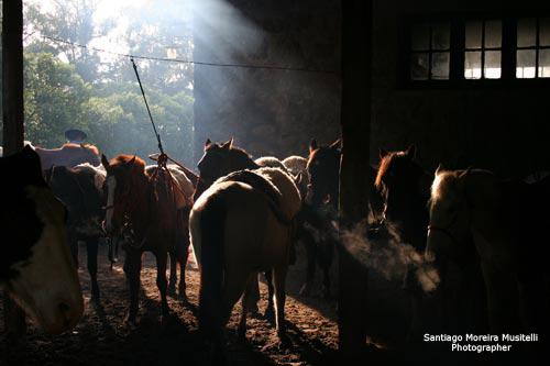Fotografia de Santiago Moreira Musitelli - Galeria Fotografica: Mi Uruguay - Foto: 