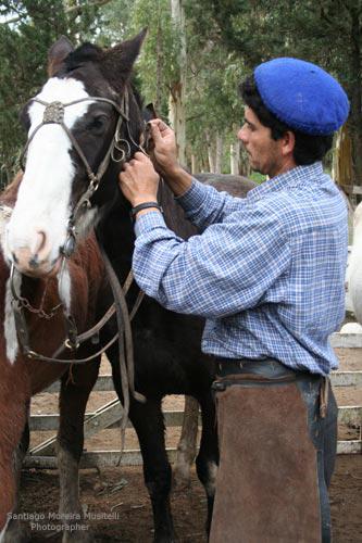 Fotografia de Santiago Moreira Musitelli - Galeria Fotografica: Mi Uruguay II - Foto: 