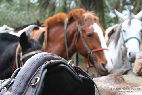 Fotografia de Santiago Moreira Musitelli - Galeria Fotografica: Mi Uruguay II - Foto: 