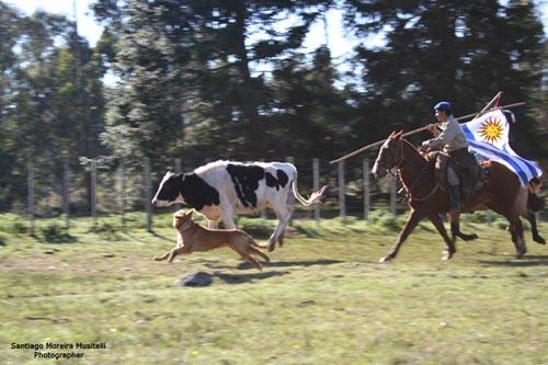 Fotografia de Santiago Moreira Musitelli - Galeria Fotografica: Mi Uruguay III - Foto: 