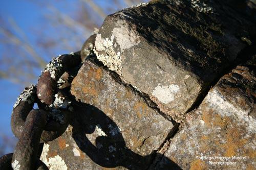 Fotografia de Santiago Moreira Musitelli - Galeria Fotografica: Mi Uruguay III - Foto: 