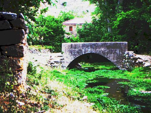 Fotografia de Alvaro - Galeria Fotografica: Natur - Foto: puente