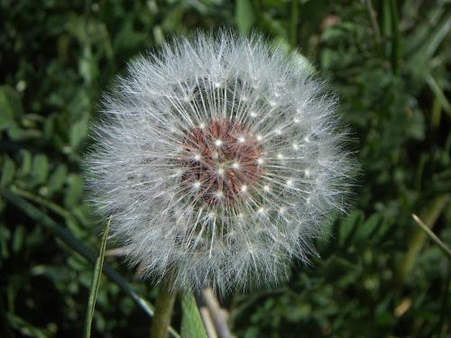 Fotografia de Alvaro - Galeria Fotografica: Natur - Foto: Tierno