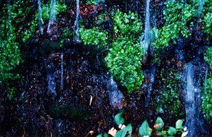 Fotografia de zecoutinho - Galeria Fotografica: naturaleza - Foto: agua 3