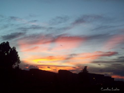 Fotografia de Carolina Ladino - Galeria Fotografica: m�s que un color - Foto: 