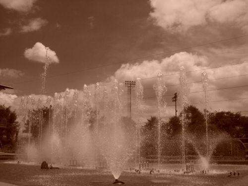 Fotografia de Carolina Ladino - Galeria Fotografica: m�s que un color - Foto: 