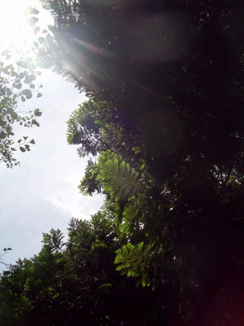 Fotografia de Carolina Ladino - Galeria Fotografica: m�s que un color - Foto: 