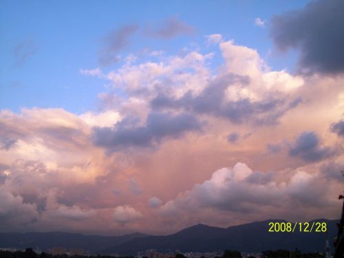 Fotografia de Carolina Ladino - Galeria Fotografica: m�s que un color - Foto: 