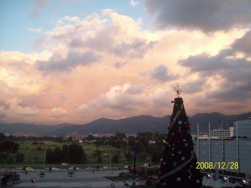 Fotografia de Carolina Ladino - Galeria Fotografica: m�s que un color - Foto: 