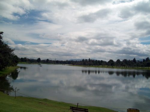 Fotografia de Carolina Ladino - Galeria Fotografica: m�s que un color - Foto: 