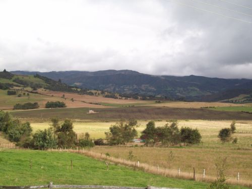 Fotografia de Carolina Ladino - Galeria Fotografica: m�s que un color - Foto: 