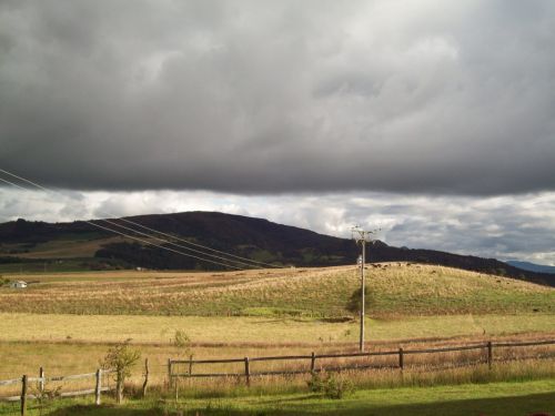 Fotografia de Carolina Ladino - Galeria Fotografica: m�s que un color - Foto: 