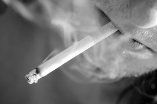 Fotografia de Cristina Caballero - Galeria Fotografica: Retrato - Foto: 