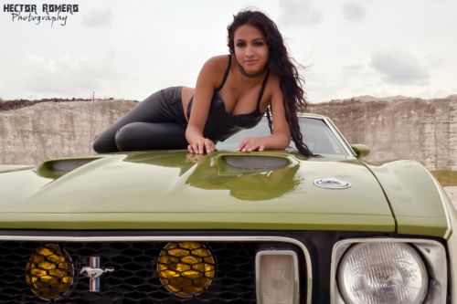 Fotografia de Hal Designs - Galeria Fotografica: Portfolio - Foto: 